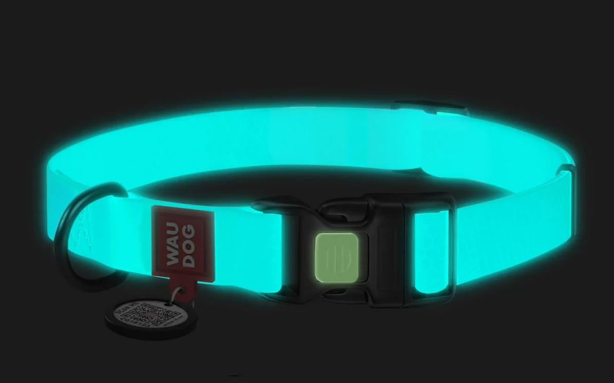 Waudog Luminous waterproof Dog collar with QR code size S, Blue