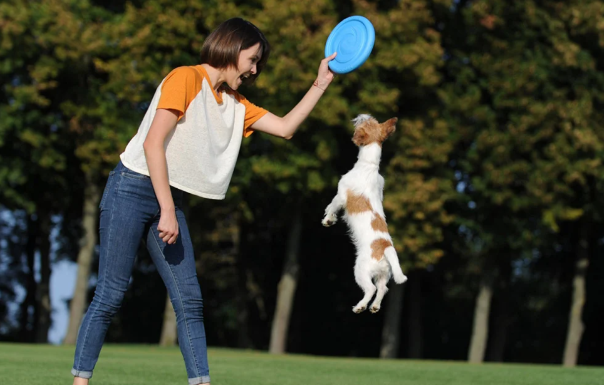 Frisbijs Disks Waudog 24 cm, zils | Frisbee Disc