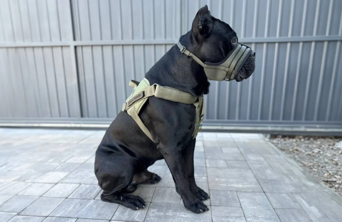 Сетчатый намордник для собак Waudog Pro L | Mesh dog muzzle
