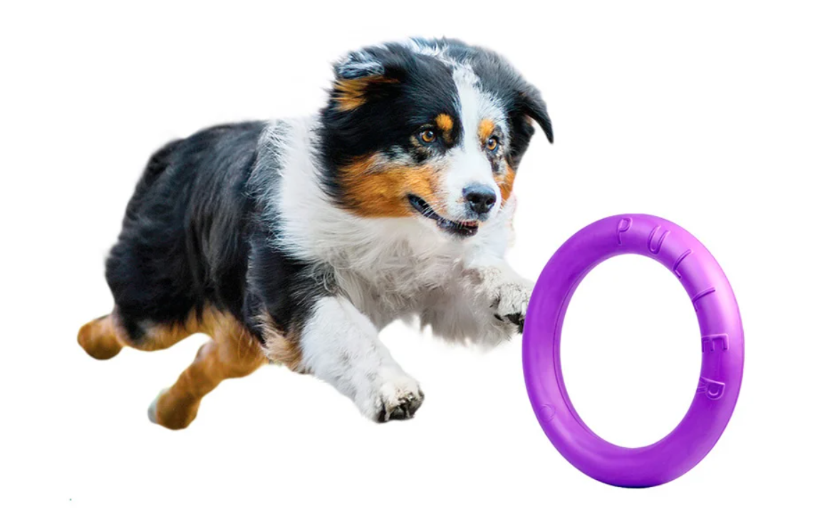 Rubber Interactive Chew Toy for Dogs Puller Midi, 19,5 cm