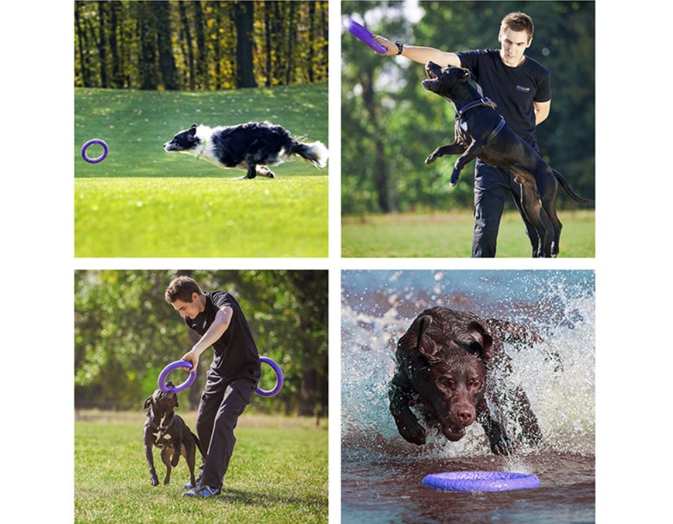 Rubber Interactive Chew Toy for Dogs Puller Midi, 19,5 cm