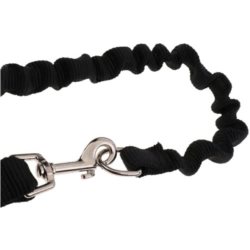 Dog leash for a bicycle (0)